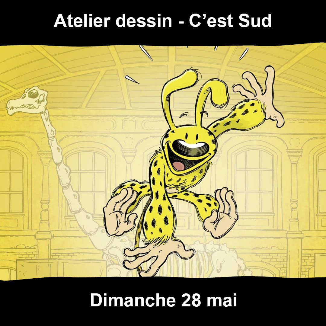 DESSINE TON MARSUPILAMI ! avec Flix