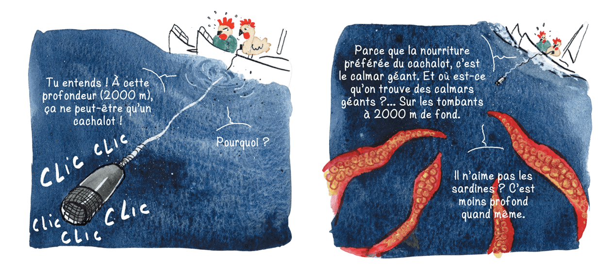extrait de la BD d'Anne Defréville avec les deux poules Bianca et Camélia