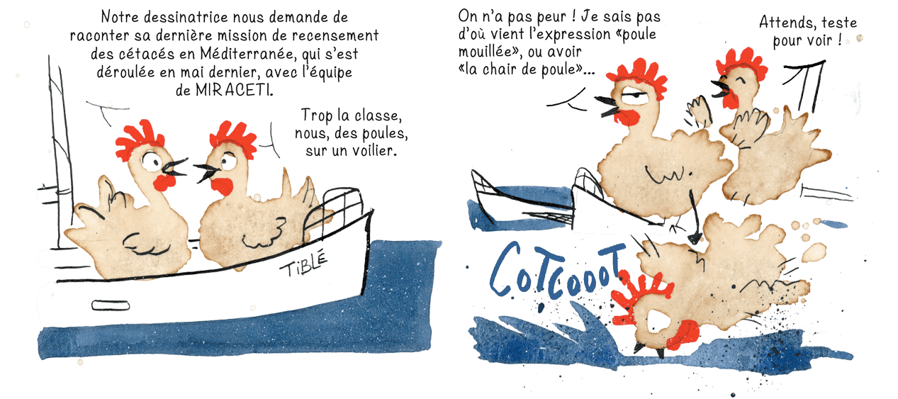 extrait de la BD d'Anne Defréville avec les deux poules Bianca et Camélia