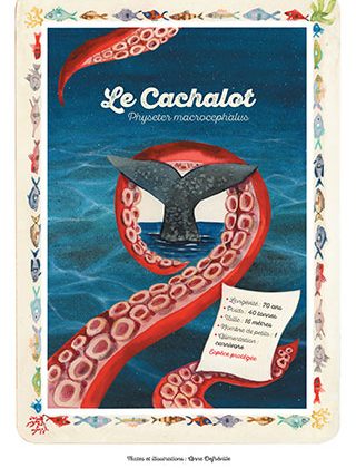 Kiosque bd cachalot anne Defréville